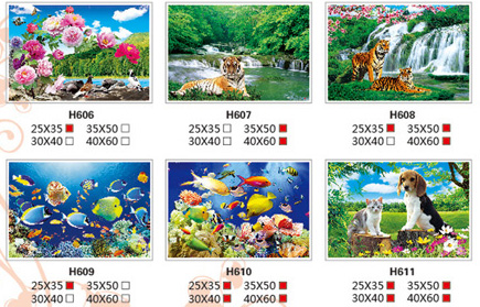 3D���ӡˢƷ/3D���w��(hu��)/��������/�����콭/һ���L(f��ng)� H598-663